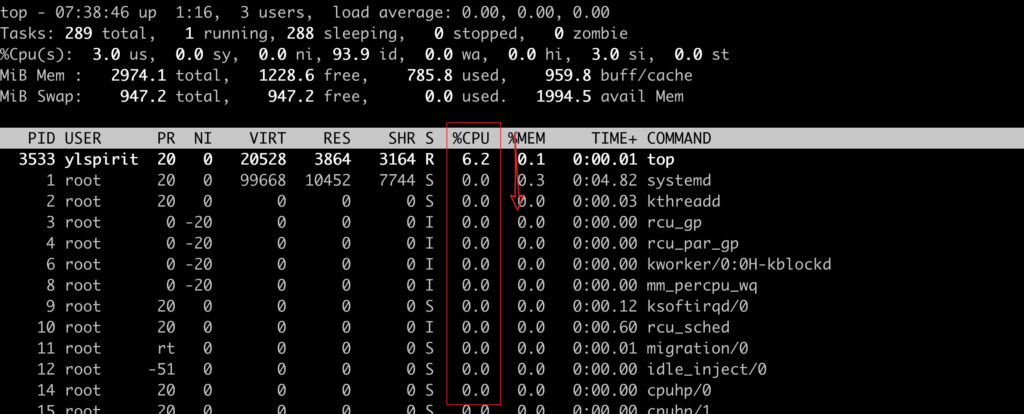 check cpu memory usage linux